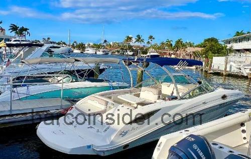 Sea Ray 300 Sundeck opinión y ficha técnica